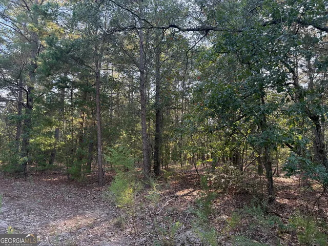 $139,000 | 461 Jackson Road, Roberta, GA 31078