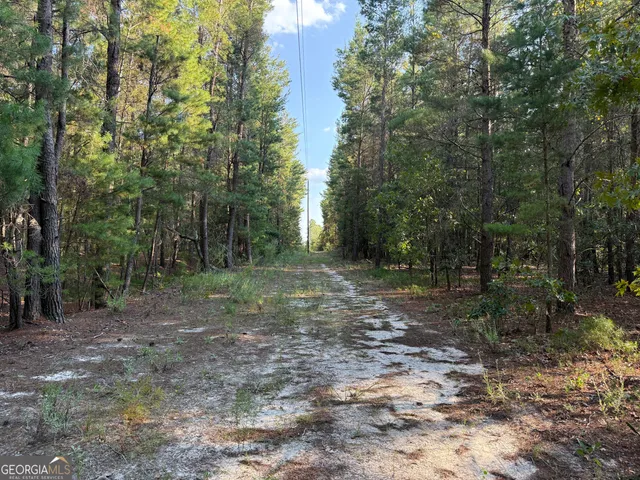 $139,000 | 461 Jackson Road, Roberta, GA 31078