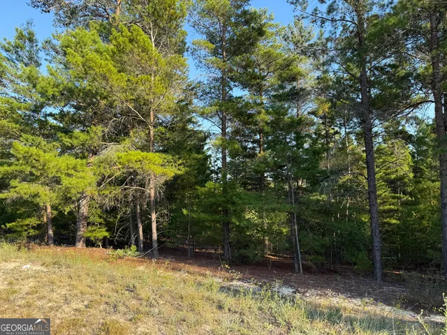 $139,000 | 461 Jackson Road, Roberta, GA 31078