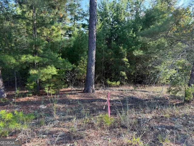 $139,000 | 461 Jackson Road, Roberta, GA 31078