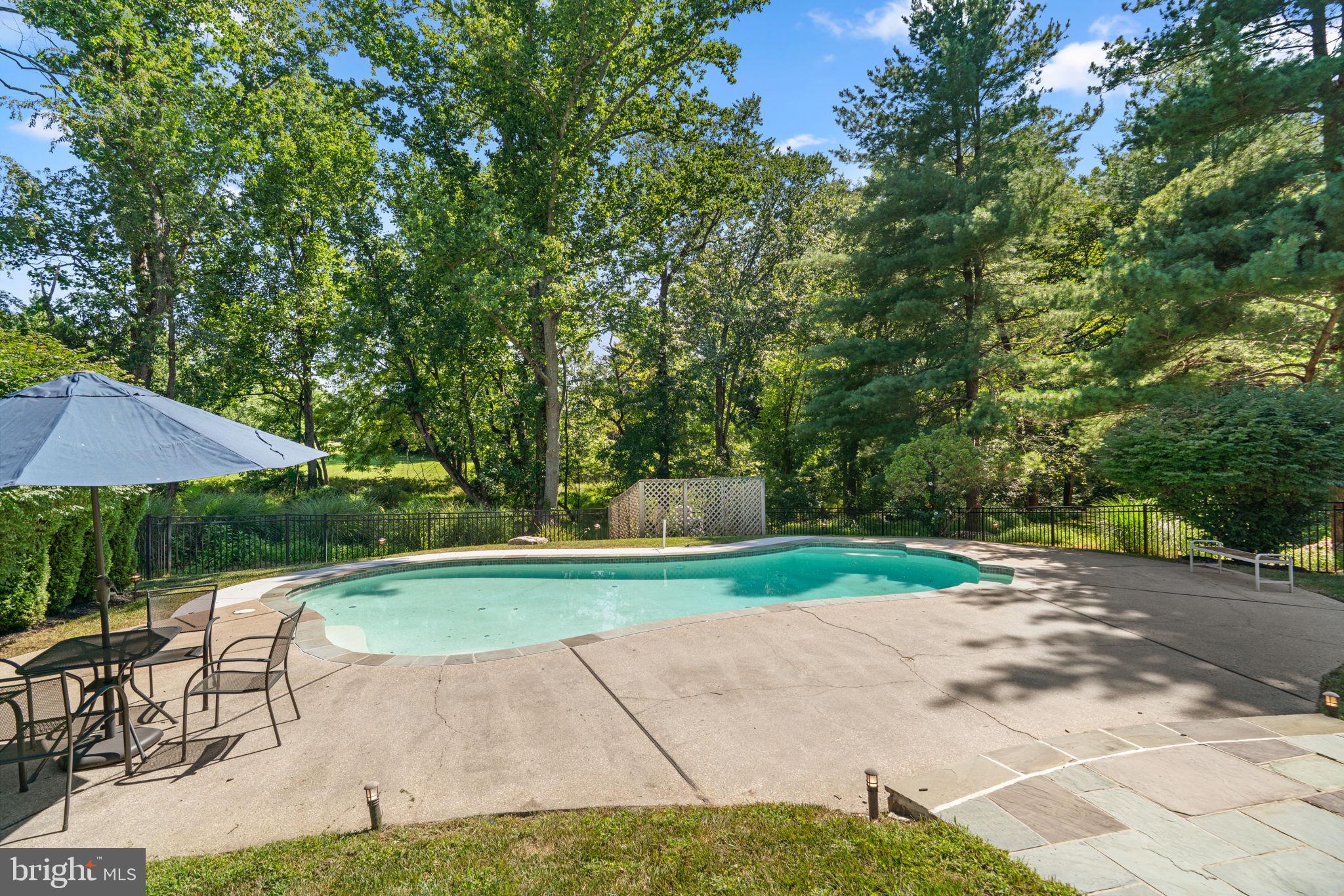 11067 Gaither Farm Road Ellicott City, MD 21042 - Photo 74 of 103 Inground pool