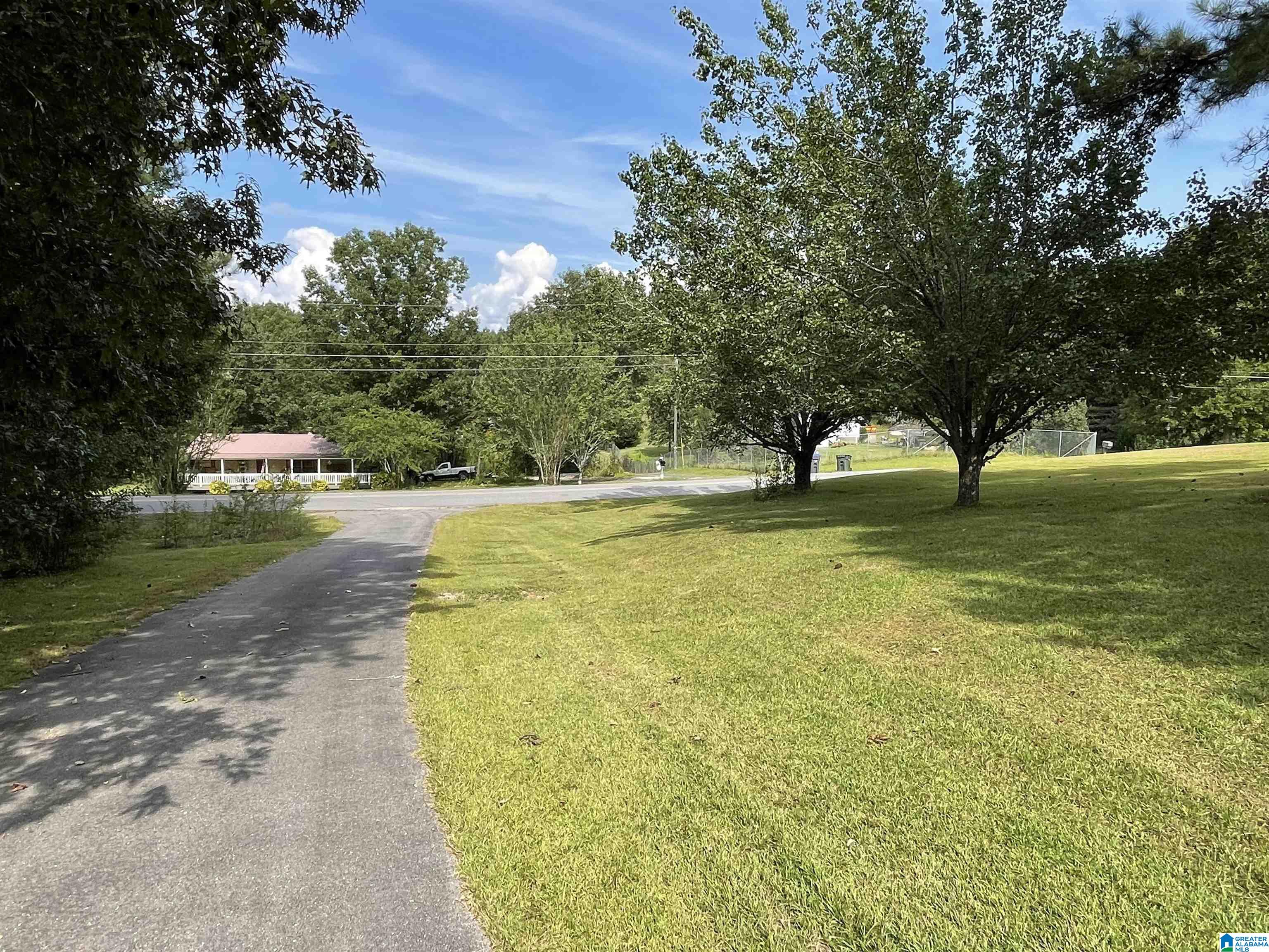 4465 Cook Springs Road Pell City, AL 35125 - Photo 12 of 26