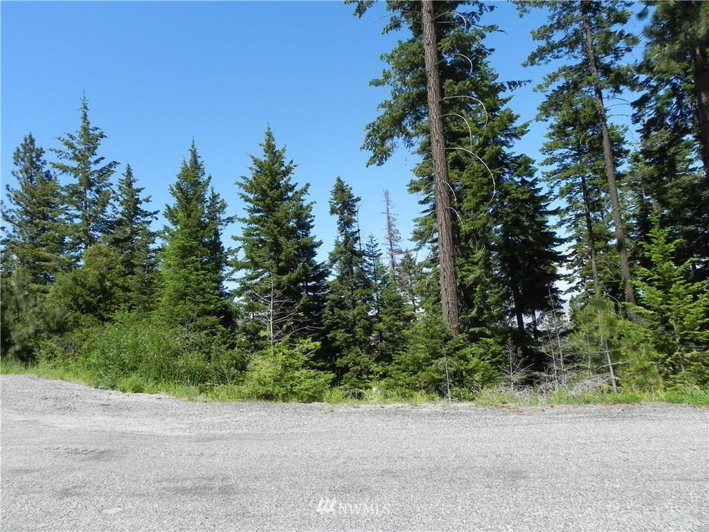 6776 Forest Ridge Drive Wenatchee, WA 98801 - Photo 11 of 12 Gallery Image 11