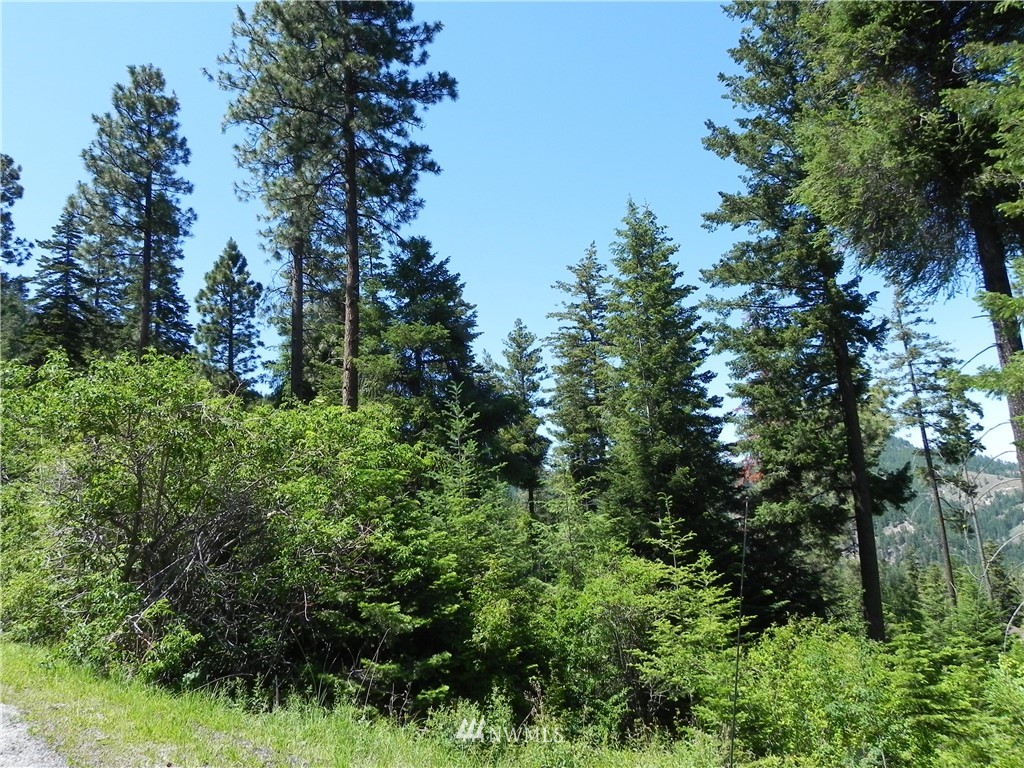 6776 Forest Ridge Drive Wenatchee, WA 98801 - Photo 10 of 12 Gallery Image 10
