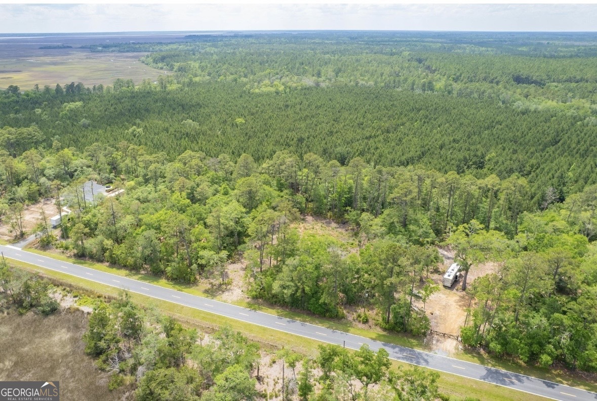 0 Piney Bluff Road Waverly, GA 31565 - Photo 14 of 26