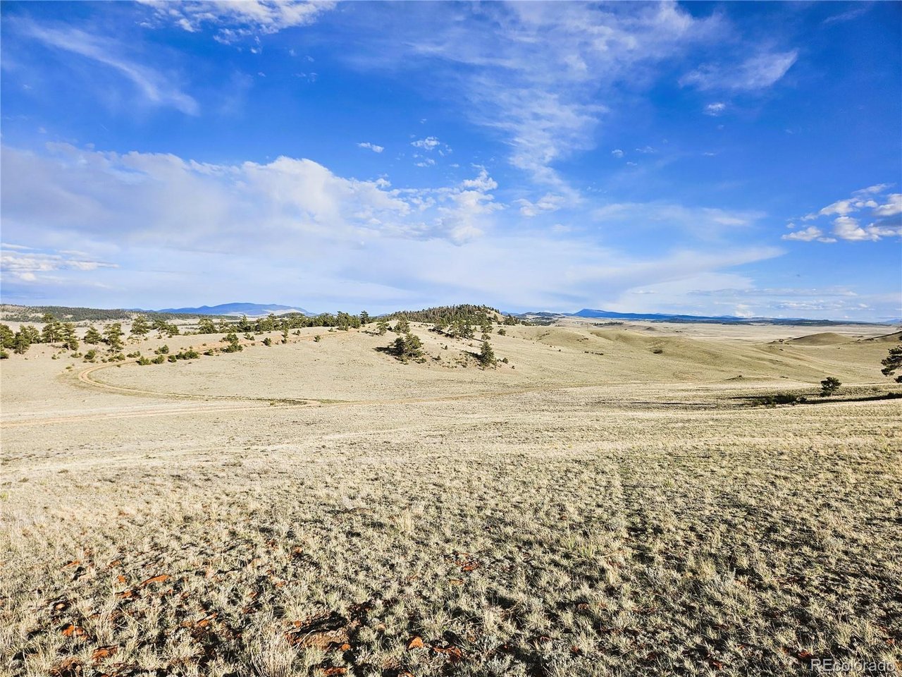 24142 Antero Road Hartsel, CO 80449 - Photo 18 of 48