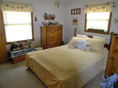7901 Bayne Road Woodland, MI 48897 - Photo 3 of 20 Additional Photo