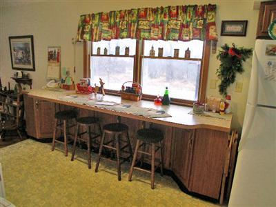 7901 Bayne Road Woodland, MI 48897 - Photo 9 of 20 Additional Photo