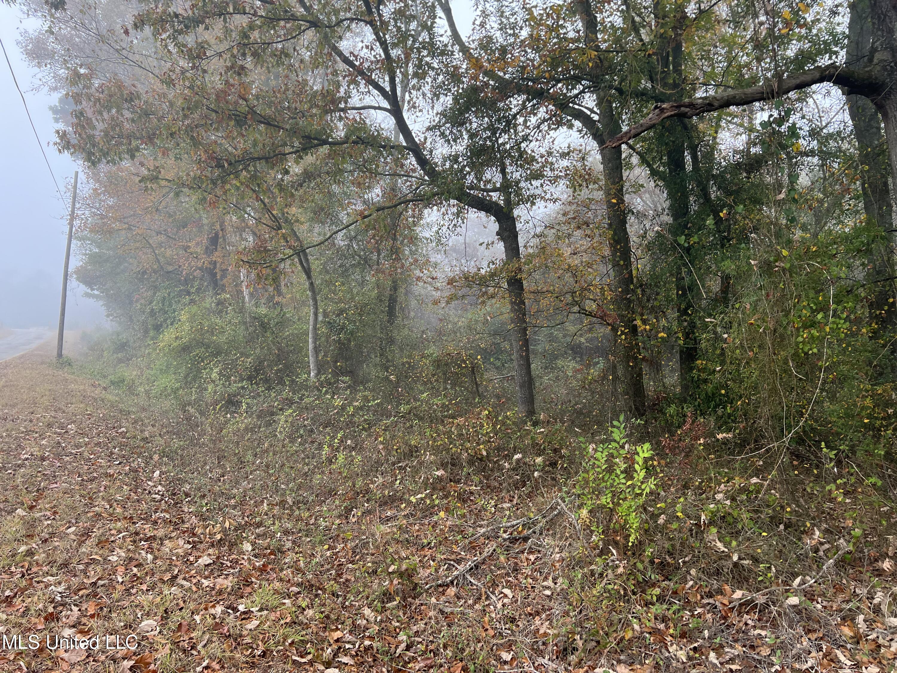 0 Robinson Road Carthage, MS 39051 - Photo 1 of 24 IMG_8512