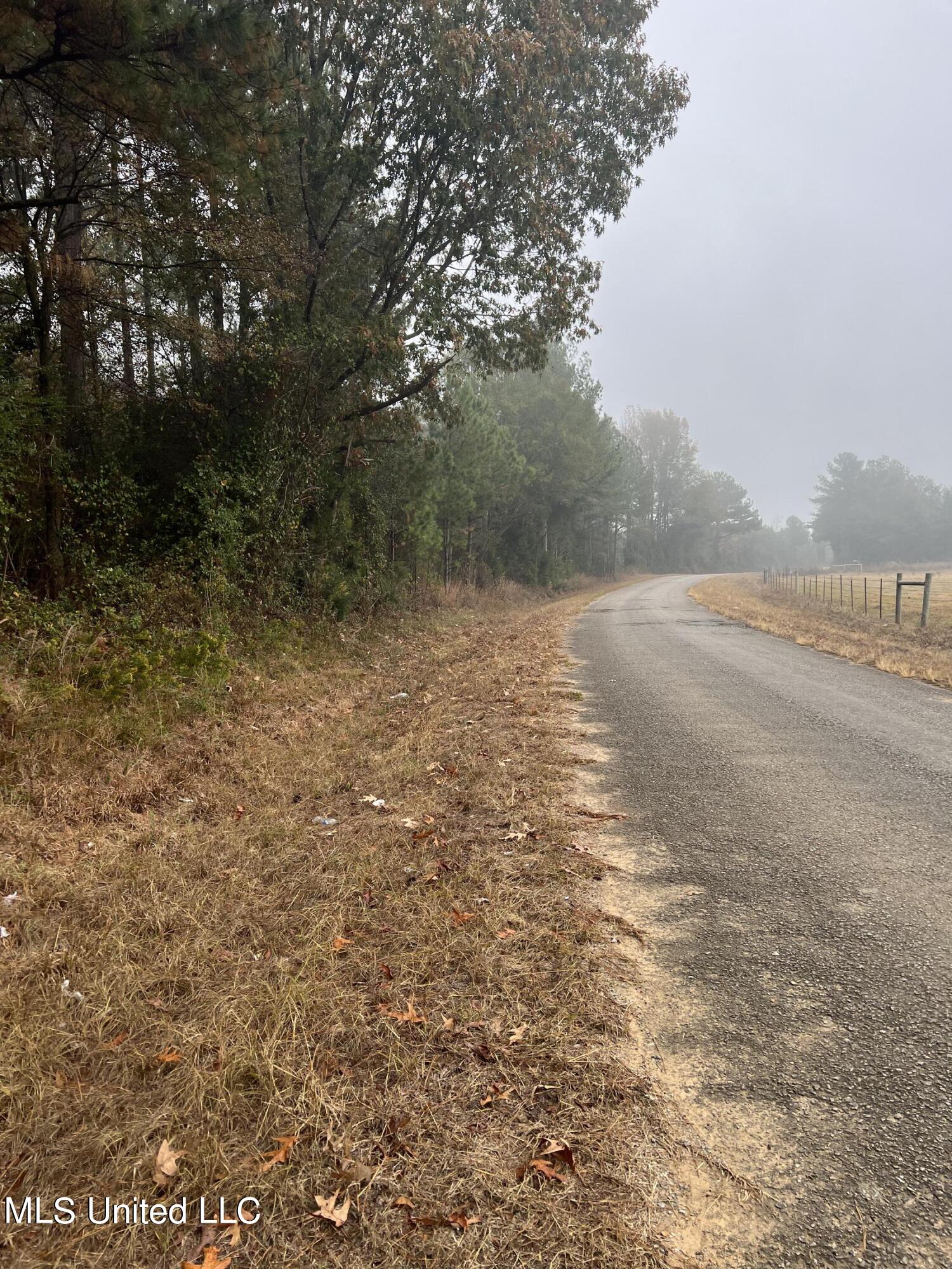 0 Robinson Road Carthage, MS 39051 - Photo 19 of 24 IMG_8531