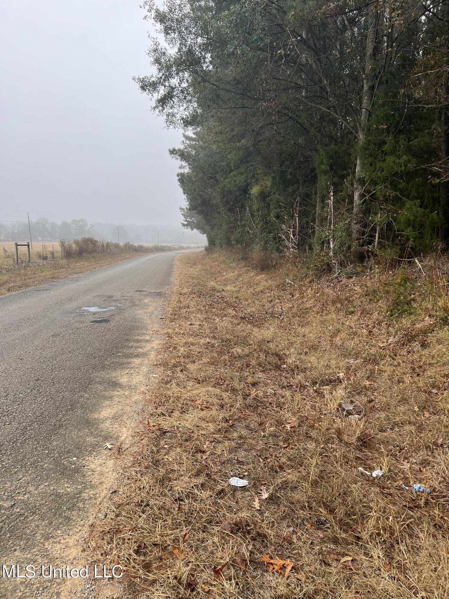 0 Robinson Road Carthage, MS 39051 - Photo 20 of 24 IMG_8532