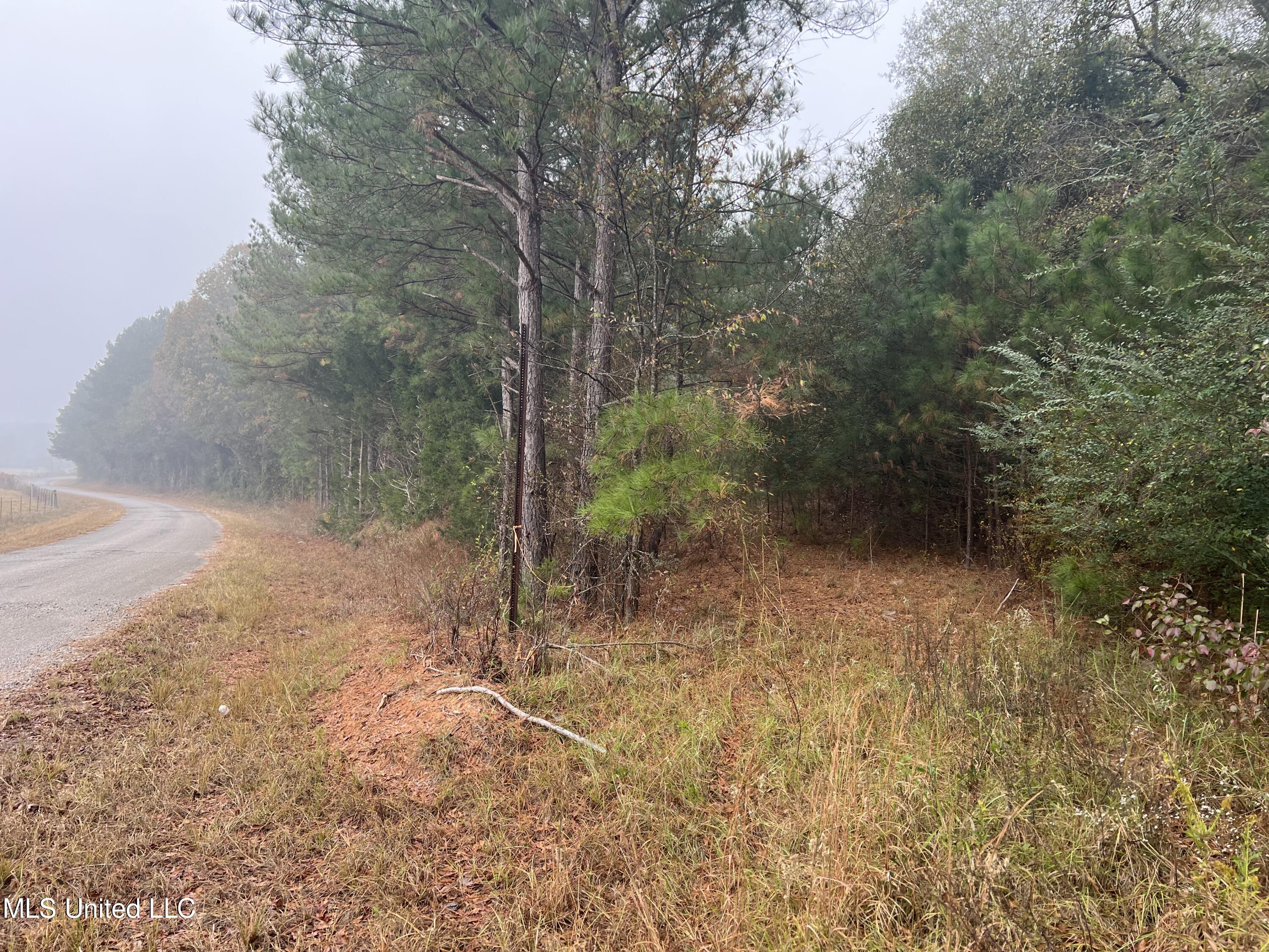 0 Robinson Road Carthage, MS 39051 - Photo 21 of 24 IMG_8533