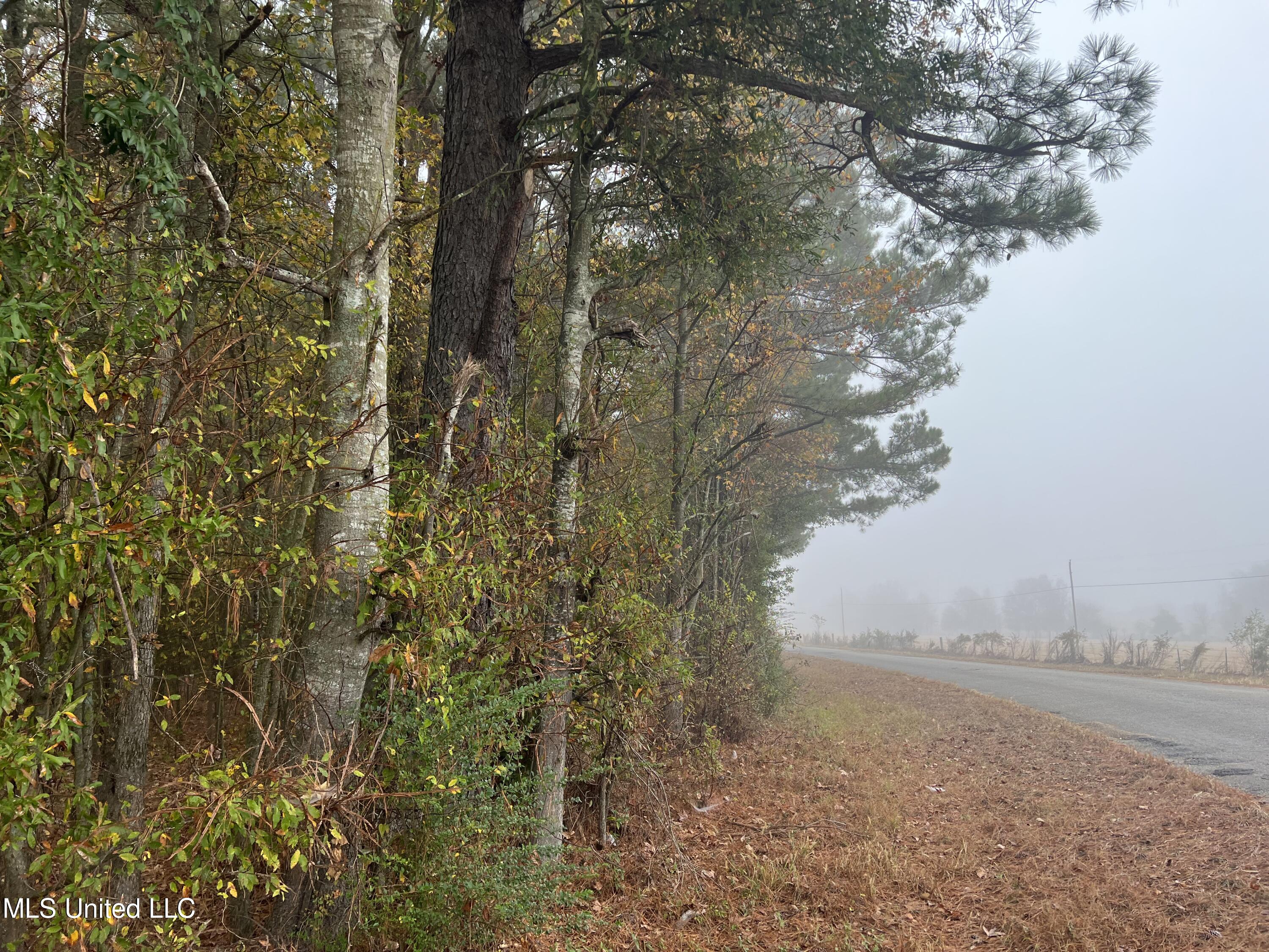 0 Robinson Road Carthage, MS 39051 - Photo 7 of 24 IMG_8518
