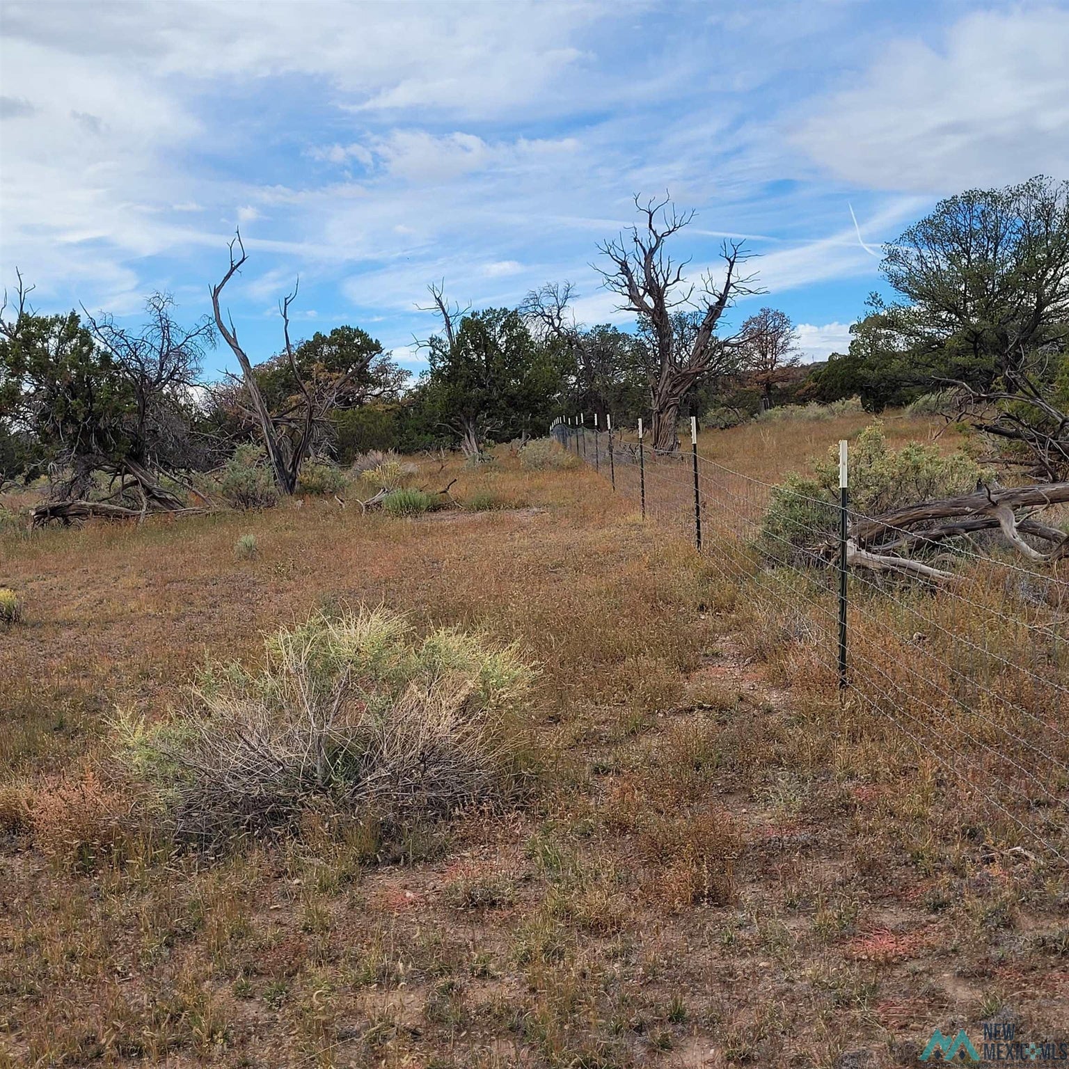 15 Elk Court Datil, NM 87821 - Photo 15 of 17 Gallery Image 15