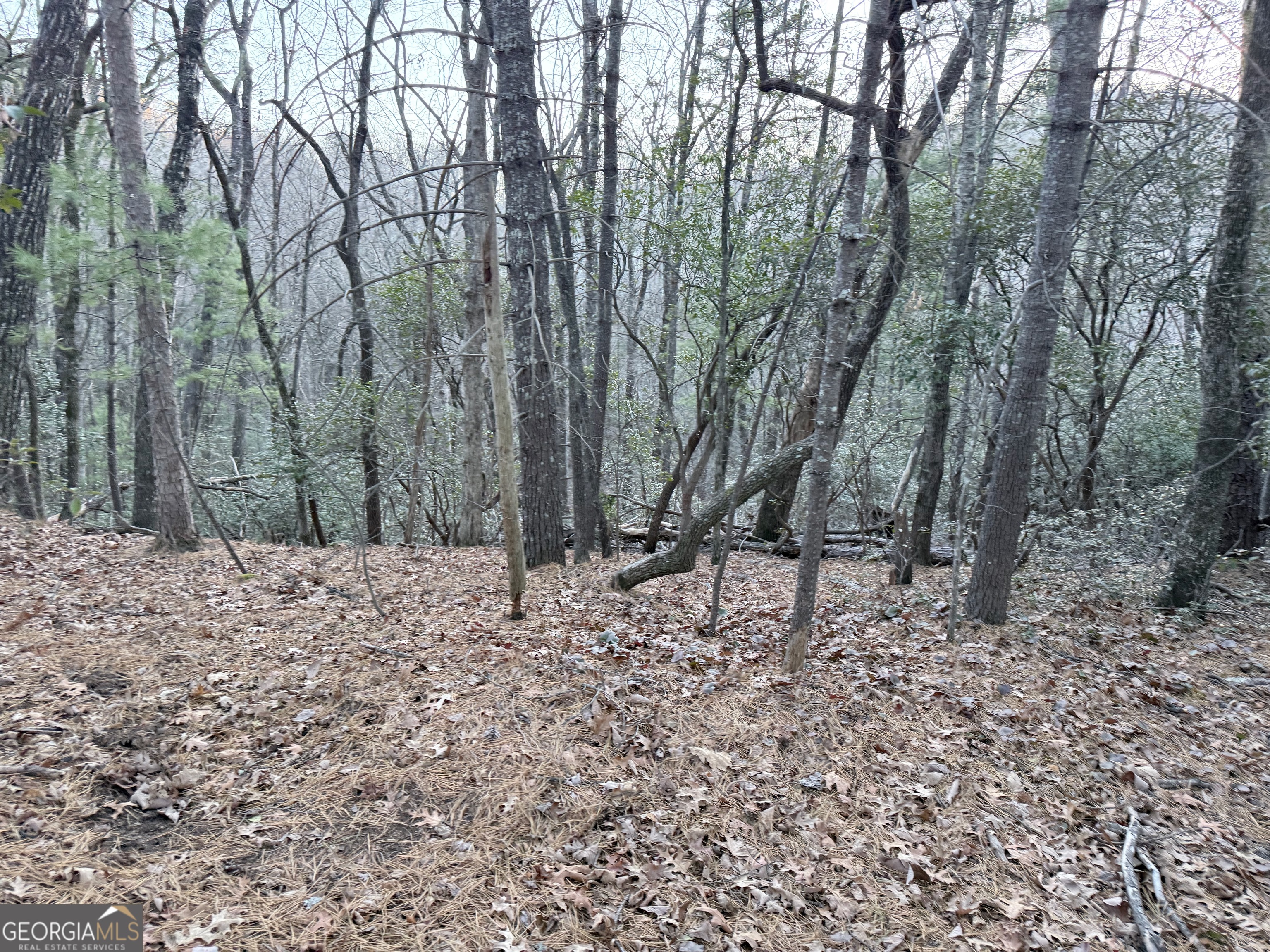 0 Timber Bluff Drive Clayton, GA 30525 - Photo 11 of 15