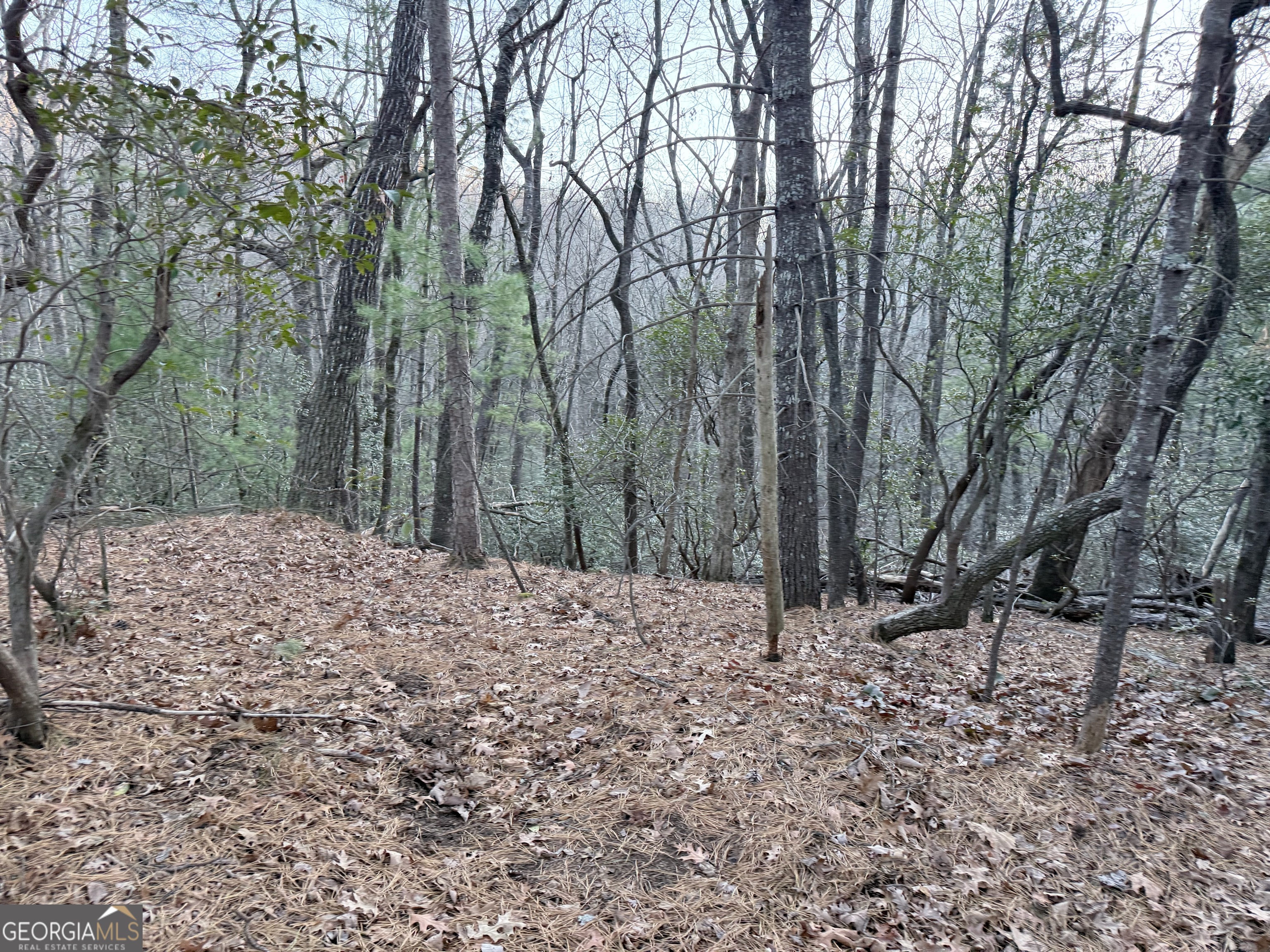 0 Timber Bluff Drive Clayton, GA 30525 - Photo 12 of 15