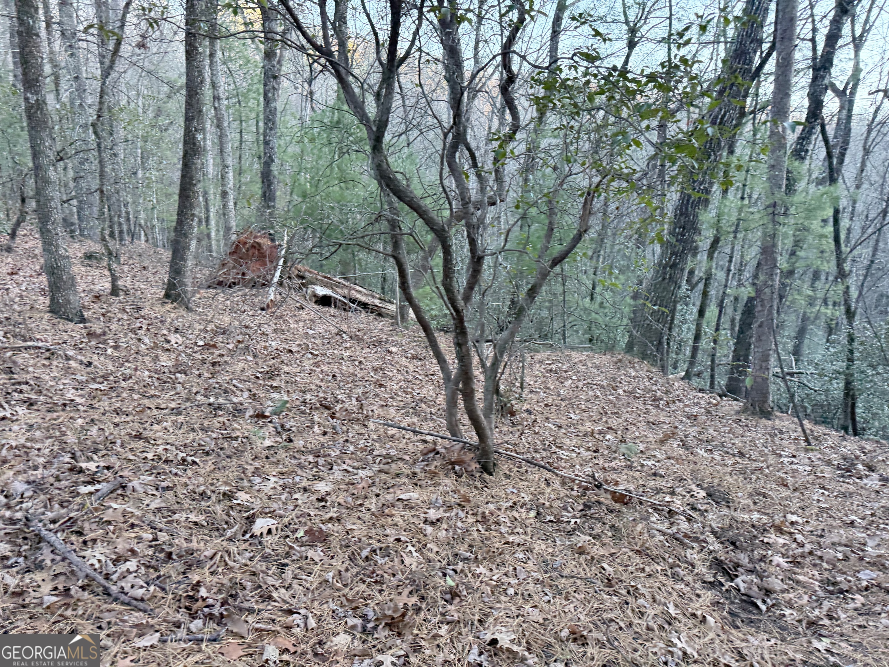 0 Timber Bluff Drive Clayton, GA 30525 - Photo 13 of 15