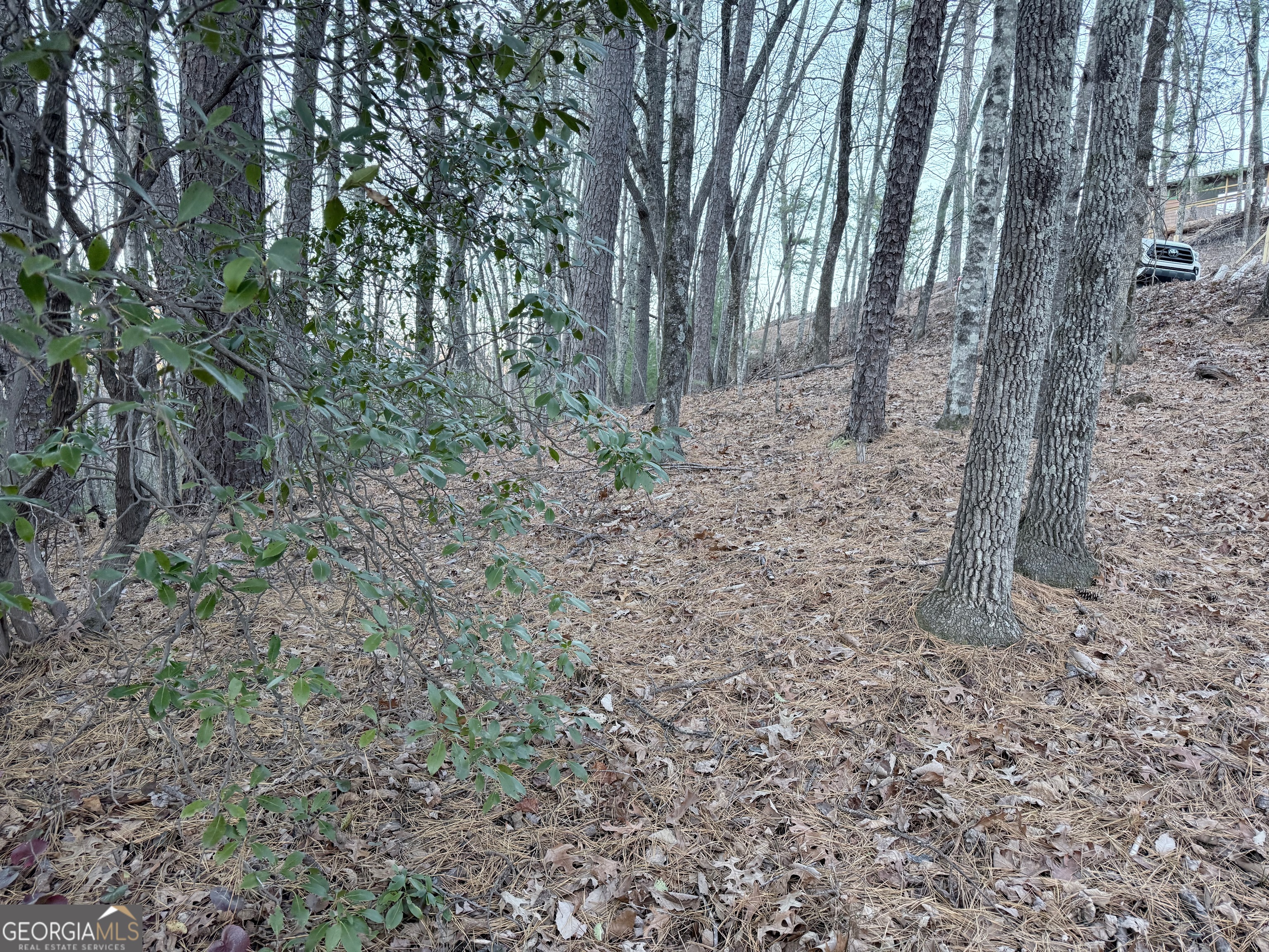 0 Timber Bluff Drive Clayton, GA 30525 - Photo 14 of 15