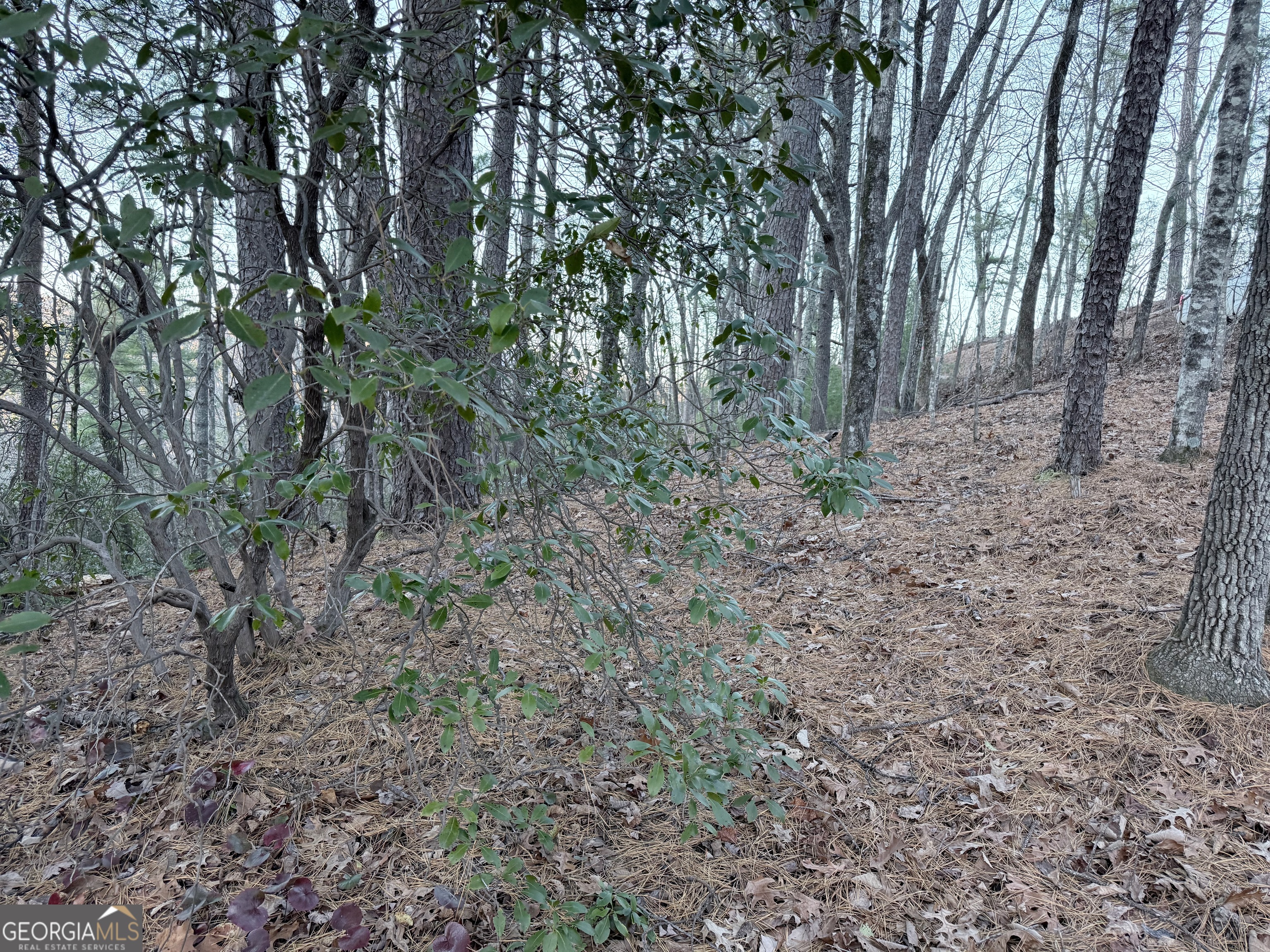 0 Timber Bluff Drive Clayton, GA 30525 - Photo 15 of 15