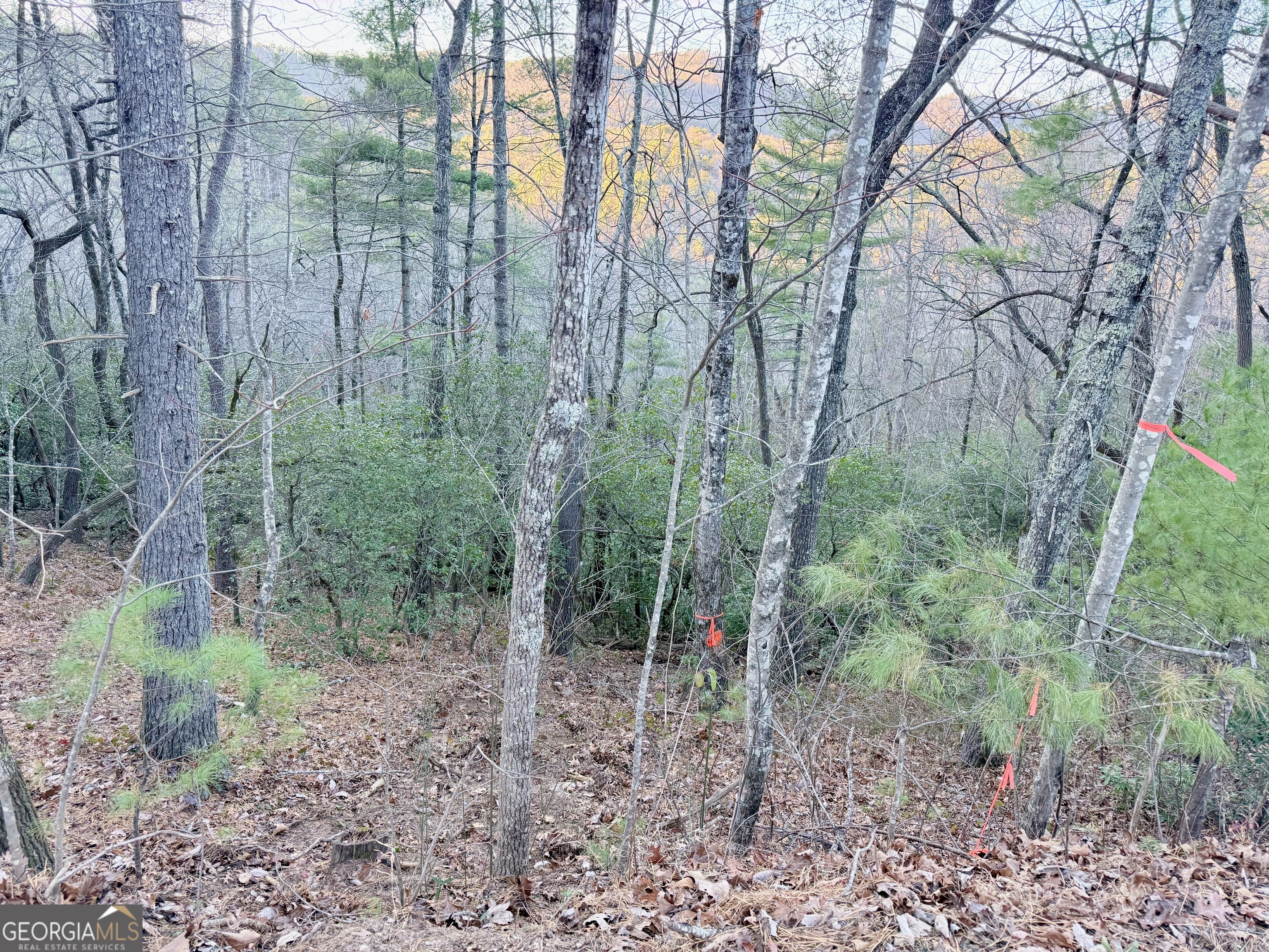 0 Timber Bluff Drive Clayton, GA 30525 - Photo 3 of 15