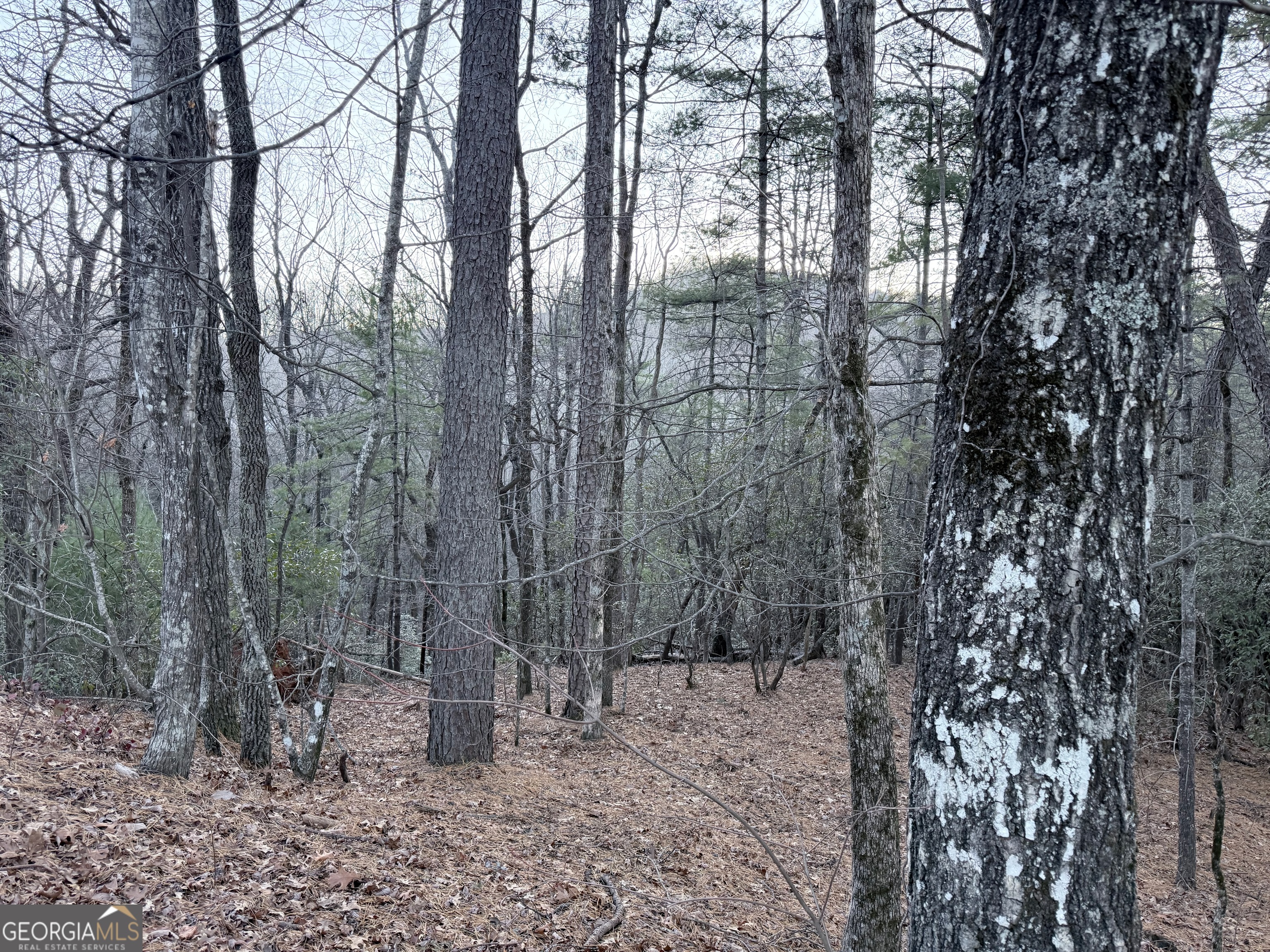 0 Timber Bluff Drive Clayton, GA 30525 - Photo 5 of 15