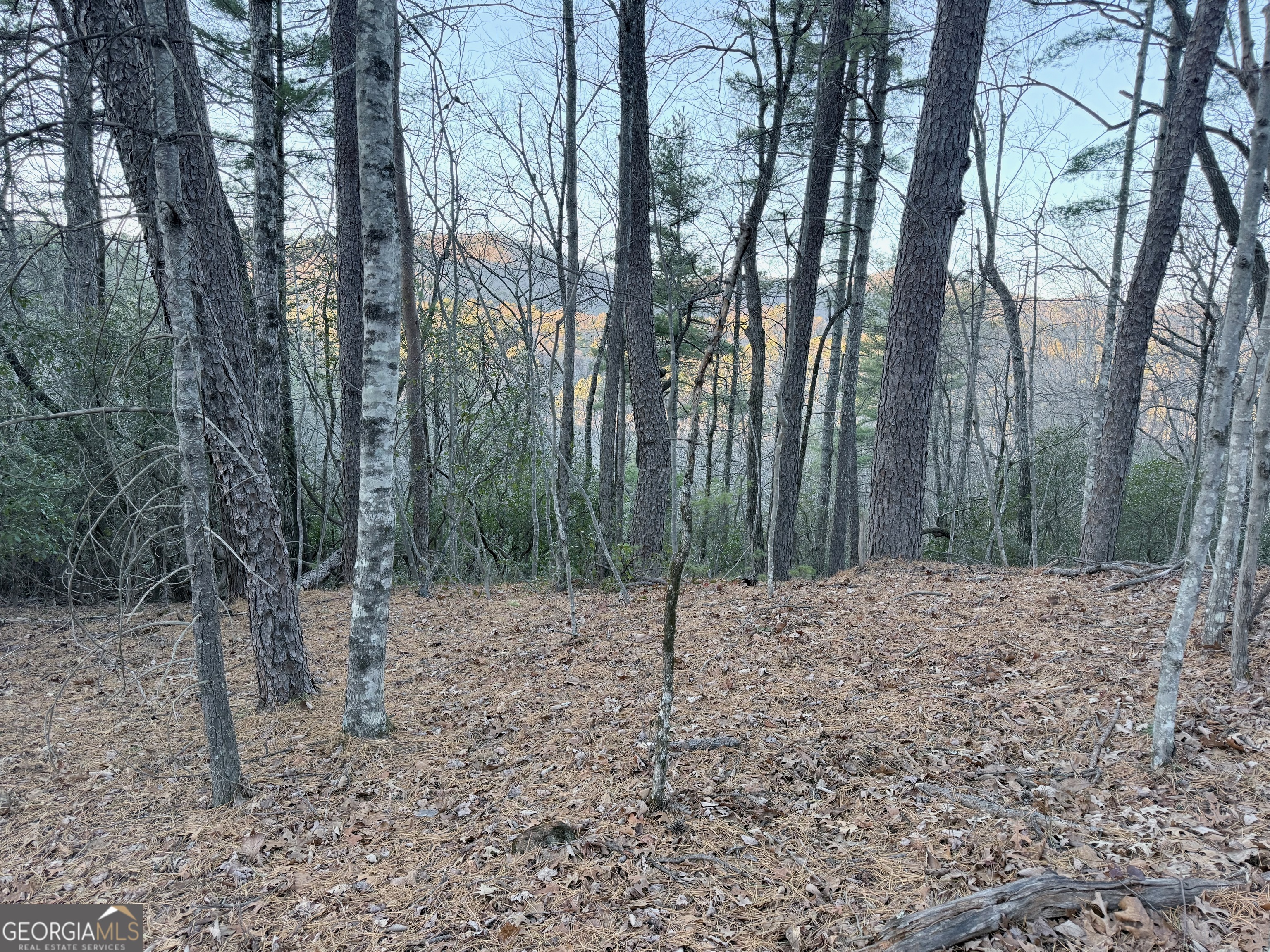 0 Timber Bluff Drive Clayton, GA 30525 - Photo 6 of 15