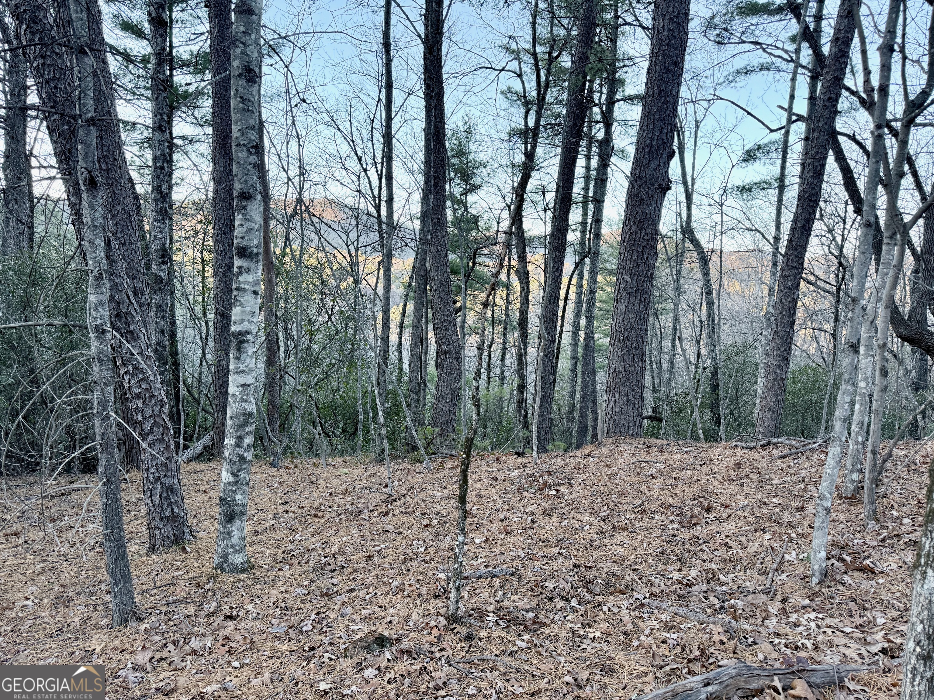 0 Timber Bluff Drive Clayton, GA 30525 - Photo 7 of 15