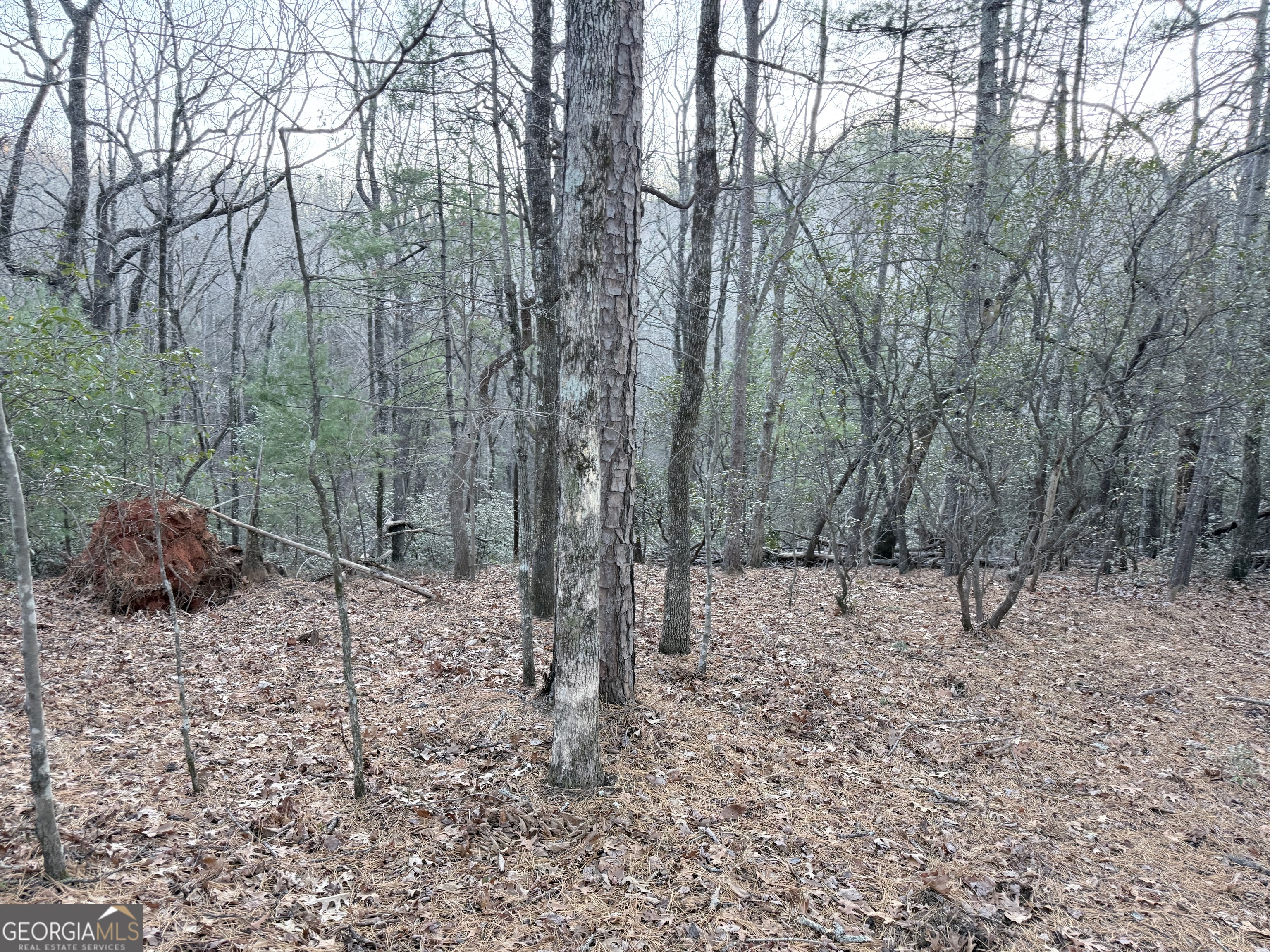 0 Timber Bluff Drive Clayton, GA 30525 - Photo 8 of 15