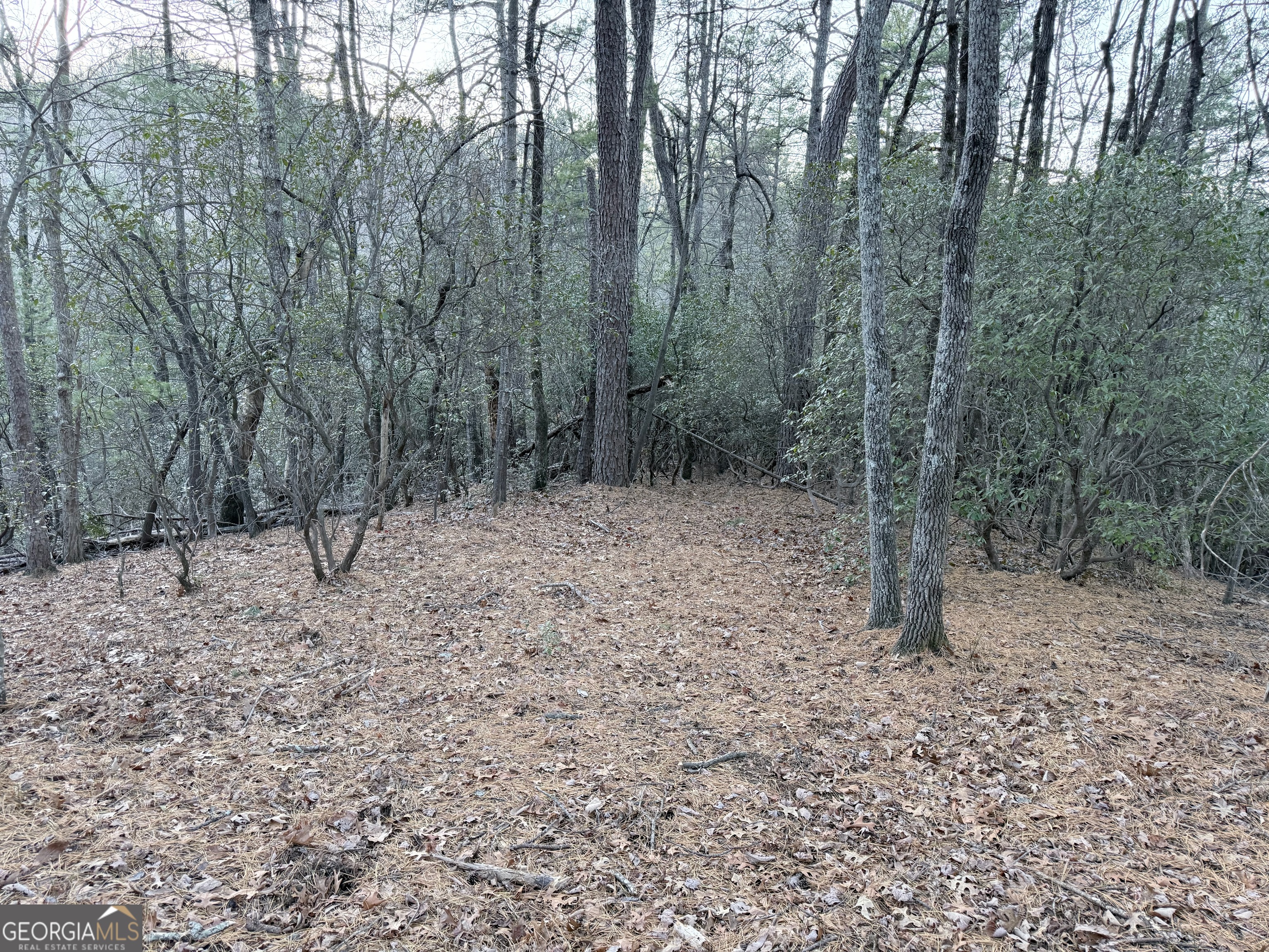 0 Timber Bluff Drive Clayton, GA 30525 - Photo 9 of 15