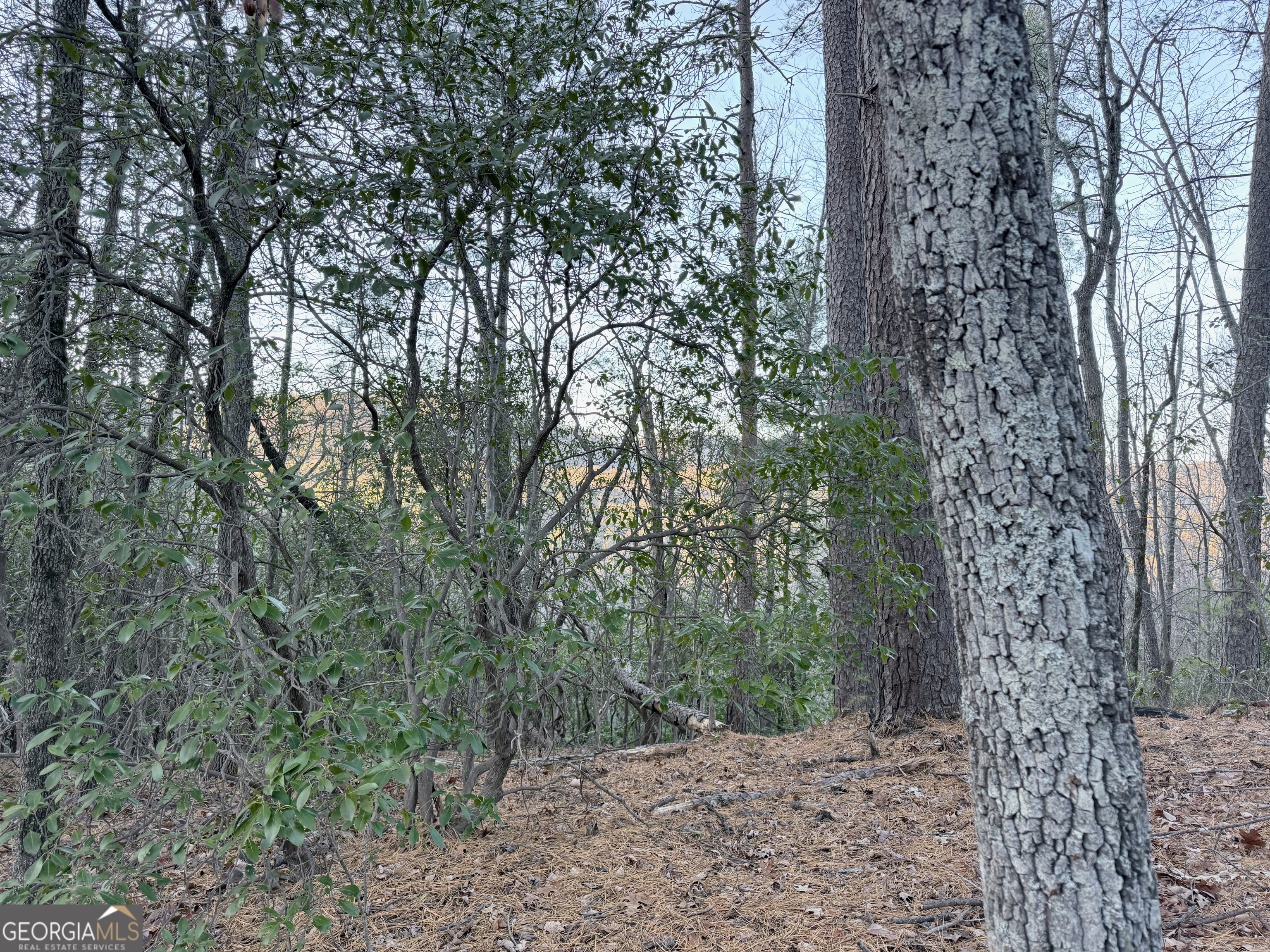 0 Timber Bluff Drive Clayton, GA 30525 - Photo 10 of 15