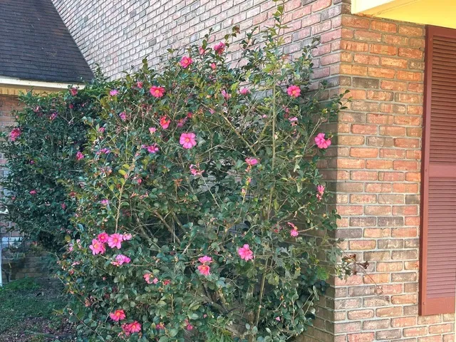 $335,000 | 5704 East Forest Lake Drive, Tifton, GA 31794