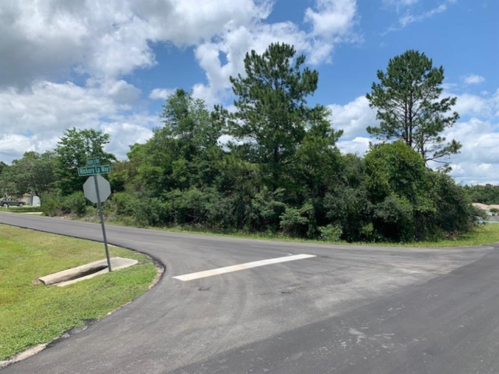 Tbd Hickory Loop Way Ocala, FL 34472 - Photo 1 of 1 Gallery Image 1