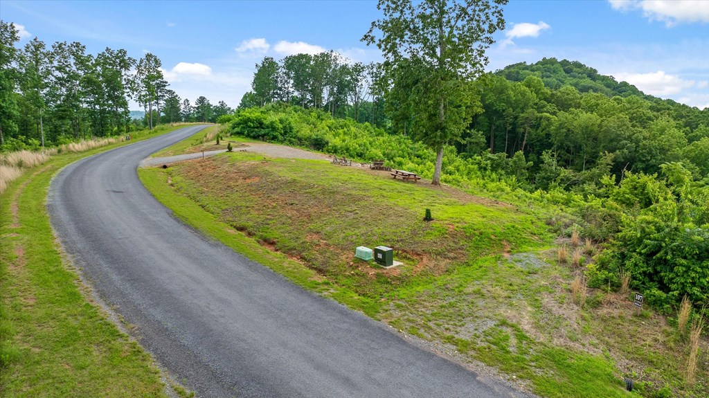 Lot 108 Twisted Oak Road Talking Rock, GA 30175 - Photo 9 of 29