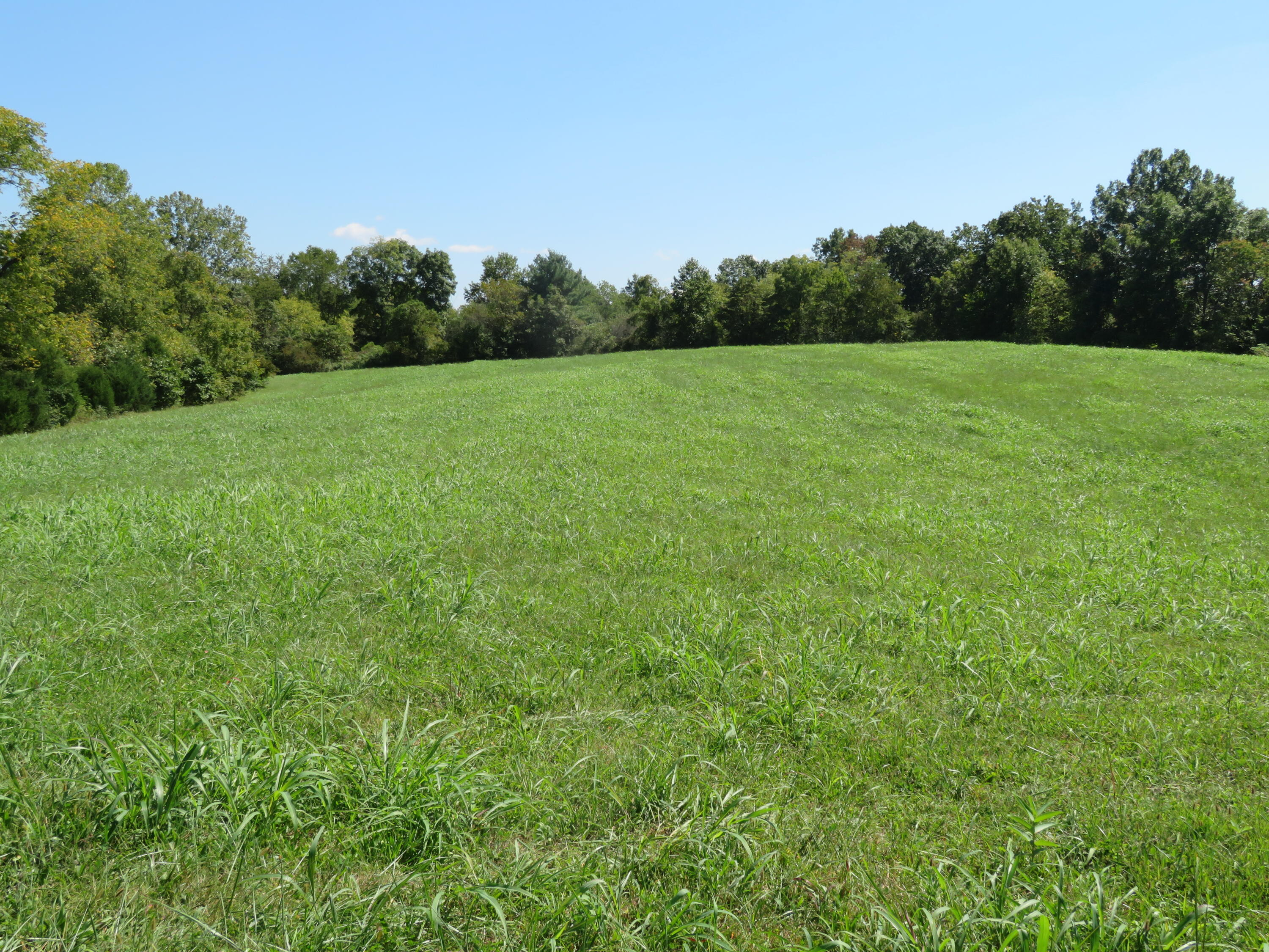 620 Lillies Ferry Road Winchester, KY 40391 - Photo 5 of 18 IMG_3017