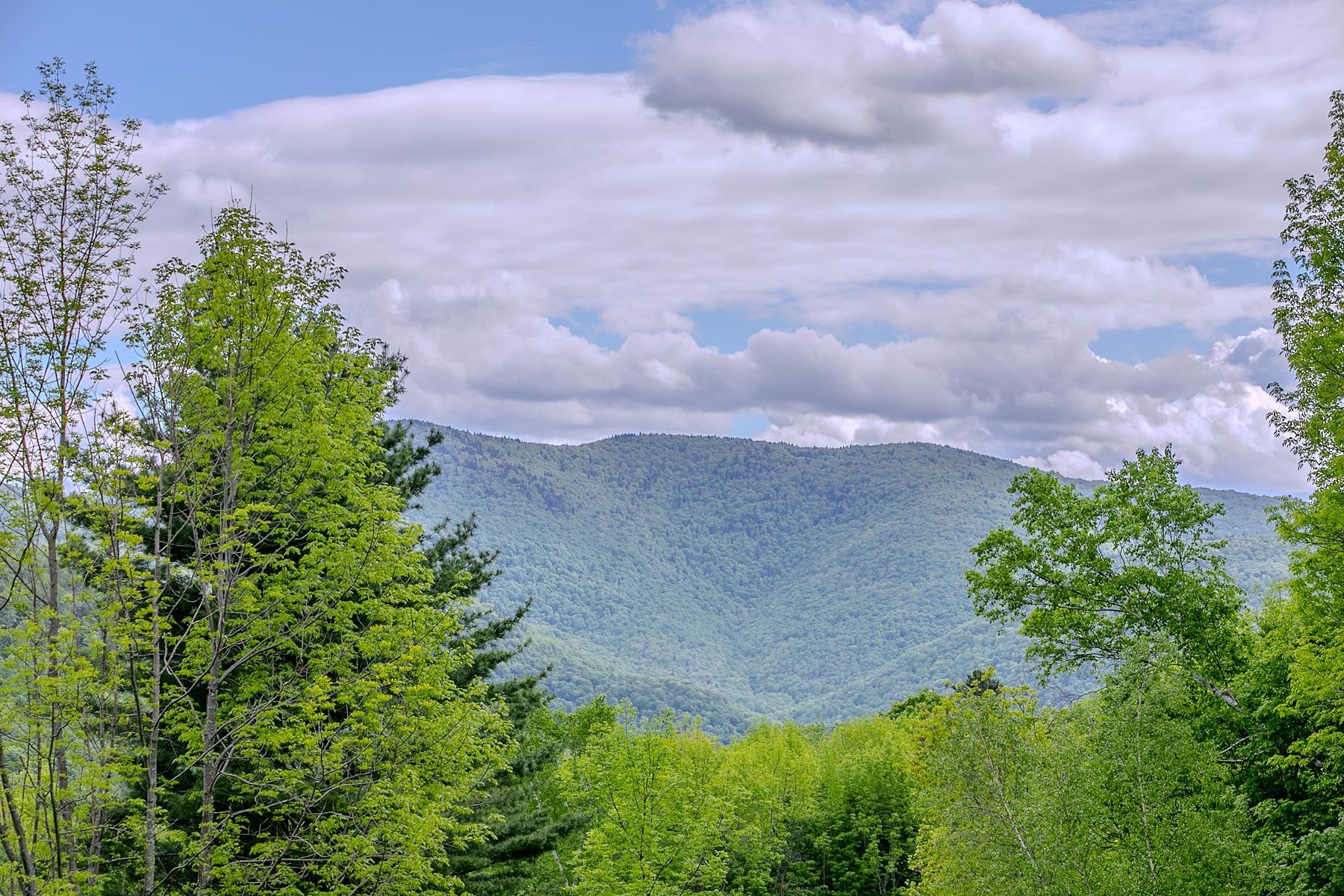 358 High Meadow Way Danby, VT 05761 - Photo 26 of 30