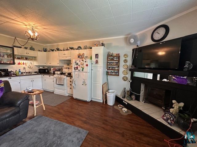 1601 4th Avenue International Falls, MN 56649 - Photo 45 of 50 Living room featuring dark wood-style flooring, crown molding, and a tiled fireplace