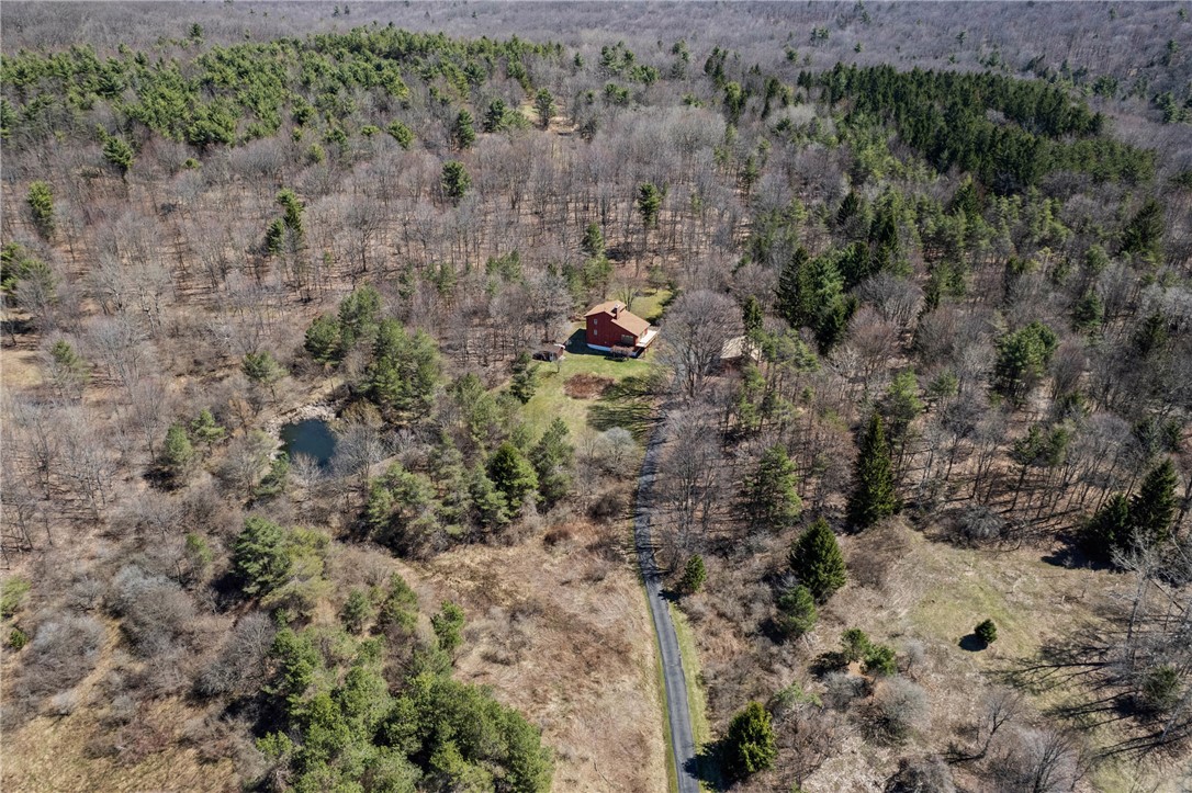 6563 Gulick Road South Bristol, NY 14512 - Photo 36 of 40