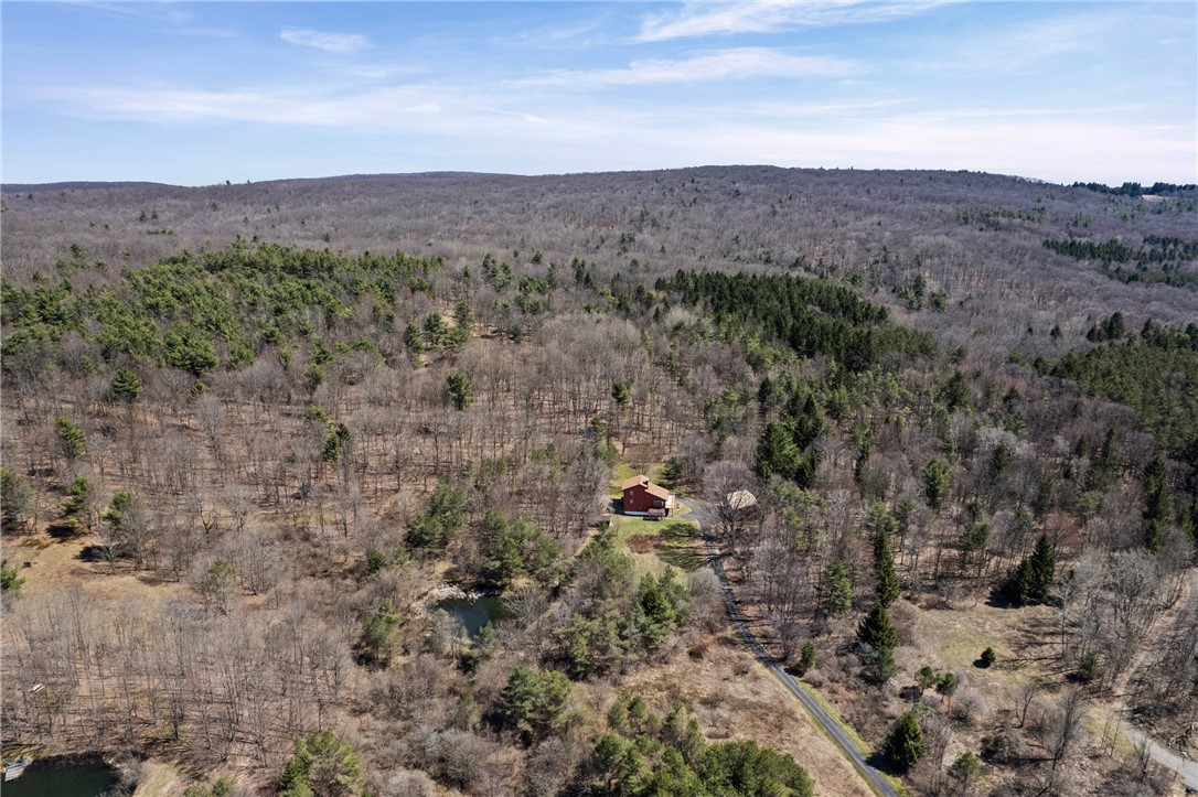 6563 Gulick Road South Bristol, NY 14512 - Photo 37 of 40