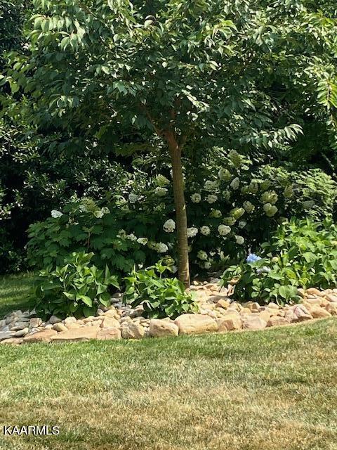 107 Inola Place Loudon, TN 37774 - Photo 35 of 35 IMG_2191