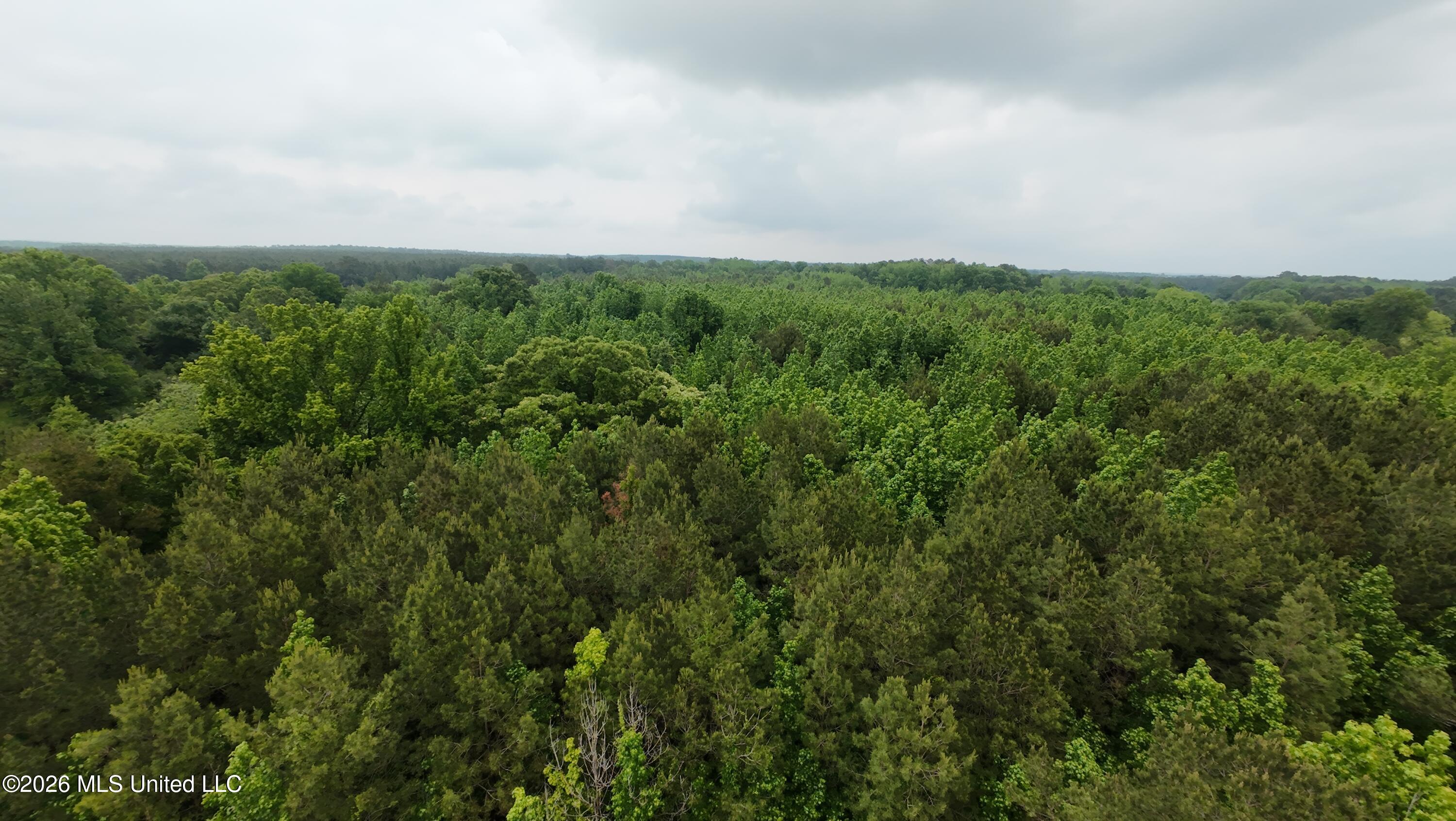 6936 Hillsboro-Ludlow Road Forest, MS 39074 - Photo 1 of 22 DJI_20260429131235_0141_D