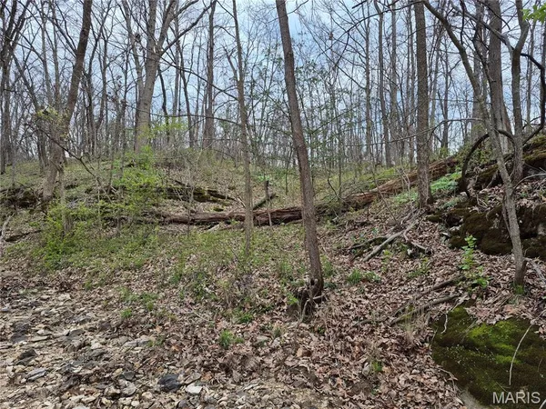 $336,000 | 29055 Pike 338, Middletown, MO 63359