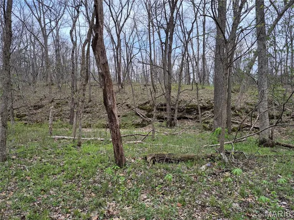 $336,000 | 29055 Pike 338, Middletown, MO 63359