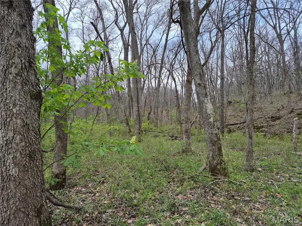 $336,000 | 29055 Pike 338, Middletown, MO 63359