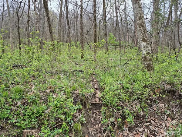 $336,000 | 29055 Pike 338, Middletown, MO 63359