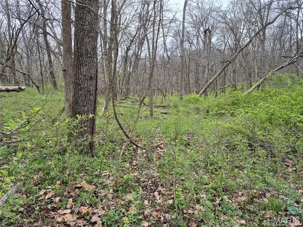 $336,000 | 29055 Pike 338, Middletown, MO 63359