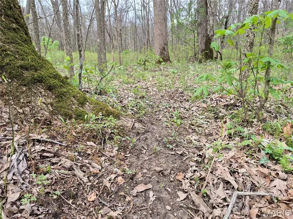 $336,000 | 29055 Pike 338, Middletown, MO 63359