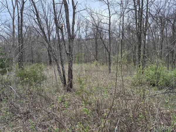 $336,000 | 29055 Pike 338, Middletown, MO 63359