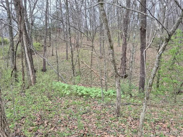 $336,000 | 29055 Pike 338, Middletown, MO 63359