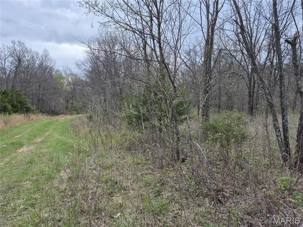 $336,000 | 29055 Pike 338, Middletown, MO 63359