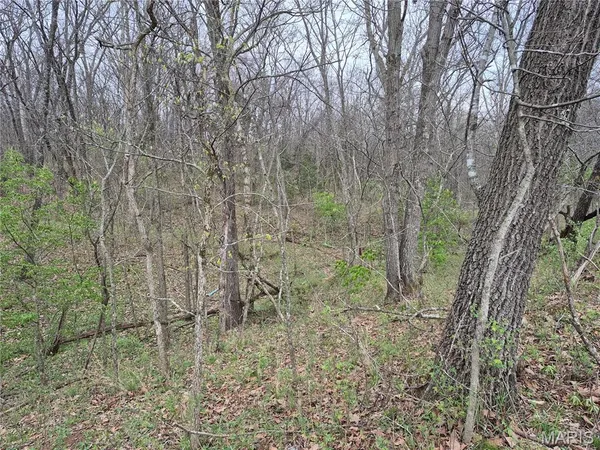 $336,000 | 29055 Pike 338, Middletown, MO 63359